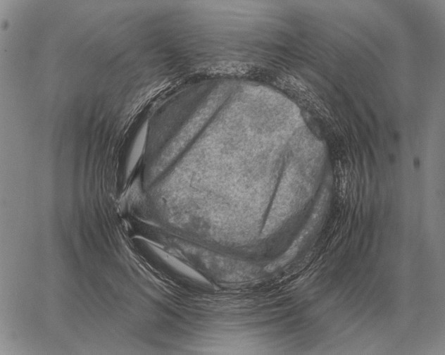 X0000062880692200602031742