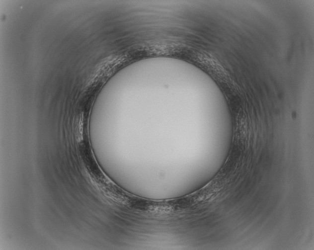 X0000062880694200602031742