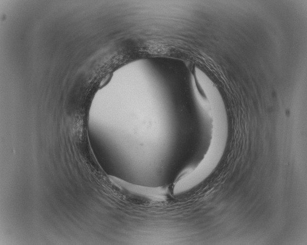 X0000062880697200602031742