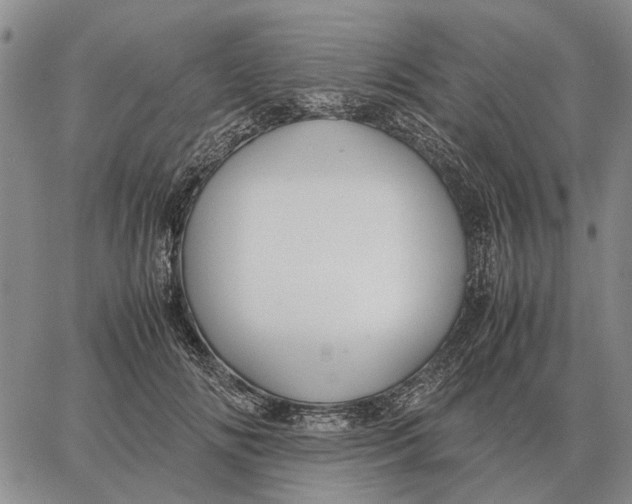 X0000062880702200602031742