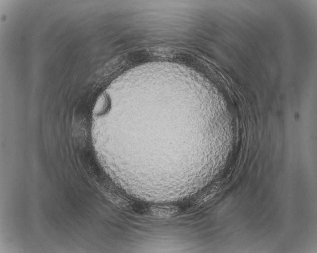 X0000062880707200602031742