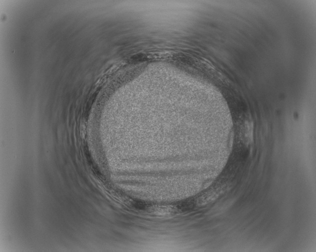 X0000062880711200602031742