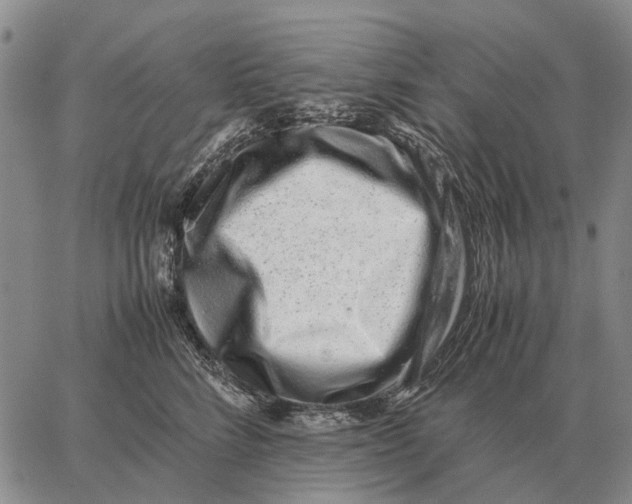 X0000062880712200602031742