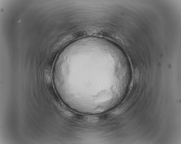 X0000062880719200602031742