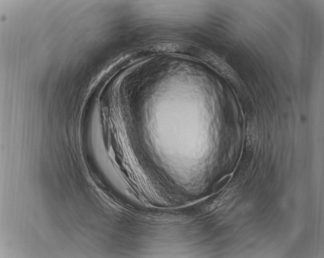 X0000062880722200602031741