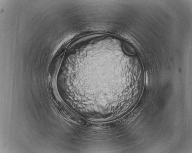 X0000062880723200602031741