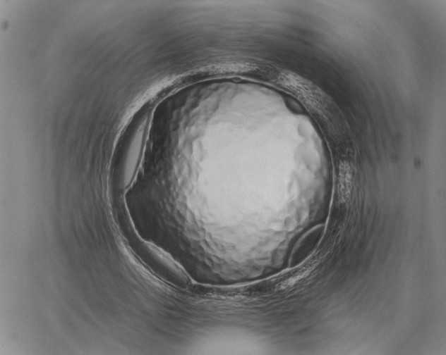 X0000062880726200602031741