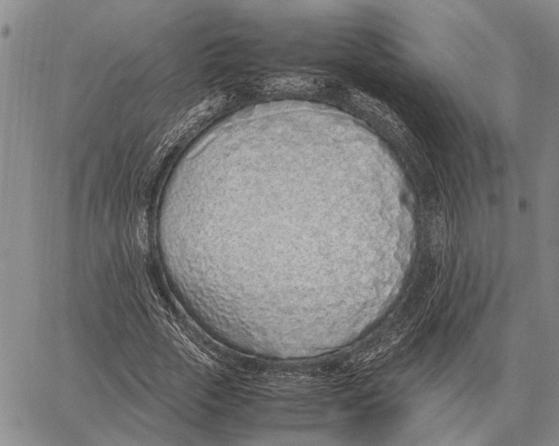 X0000062880729200602031741