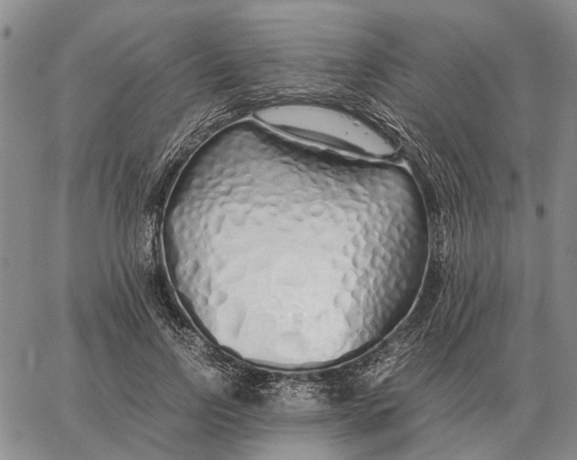 X0000062880742200602031741