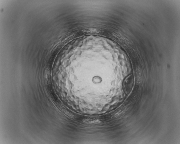 X0000062880747200602031741