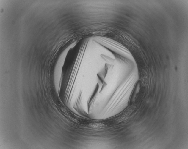 X0000062880748200602031741