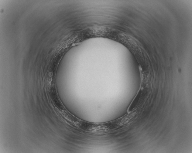 X0000062880752200602031741
