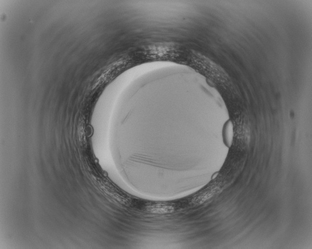X0000062880754200602031741