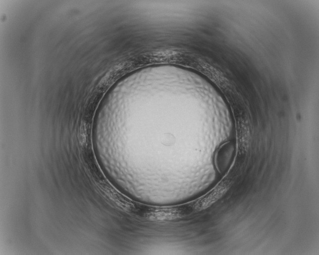 X0000062880758200602031741