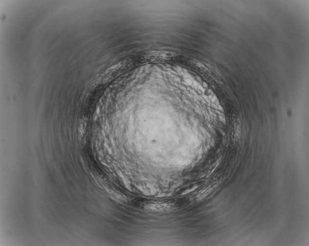 X0000062880759200602031741