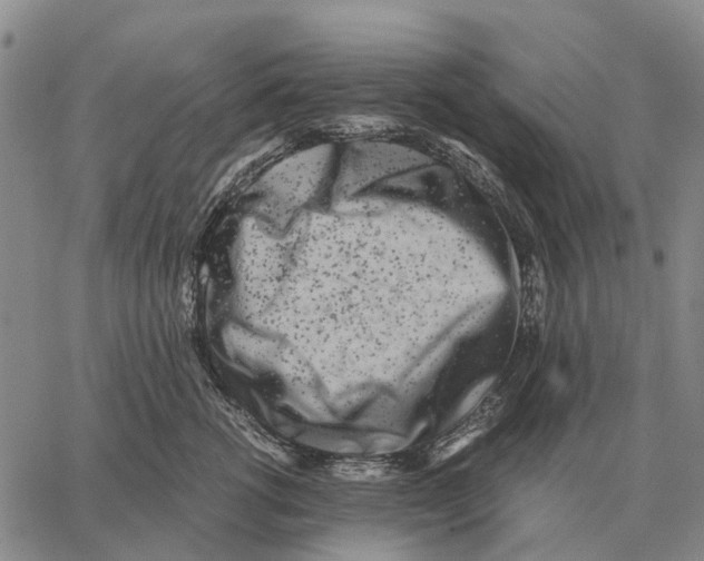 X0000062880762200602031741