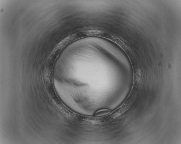 X0000062880763200602031741