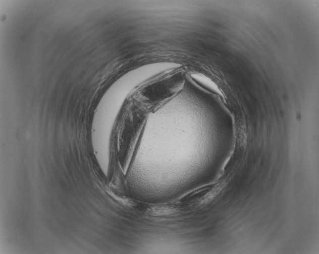 X0000062880766200602031741