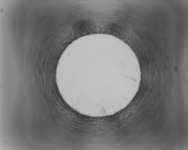 X0000062880769200602031741