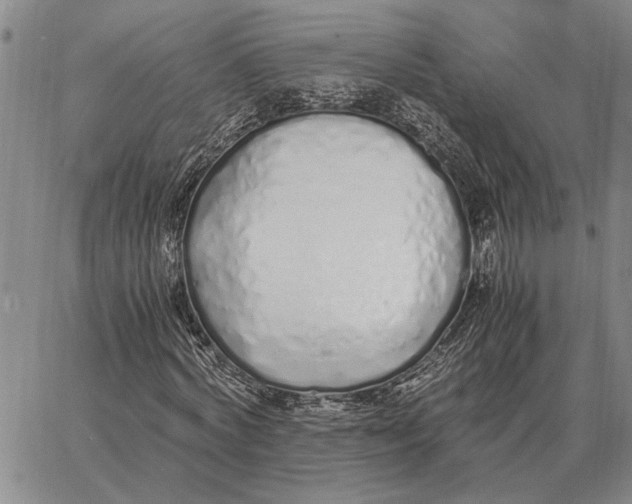 X0000062880772200602031741