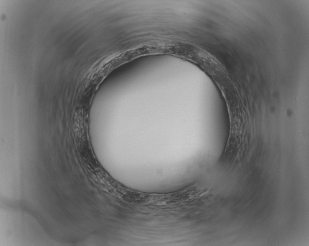 X0000062880773200602031741