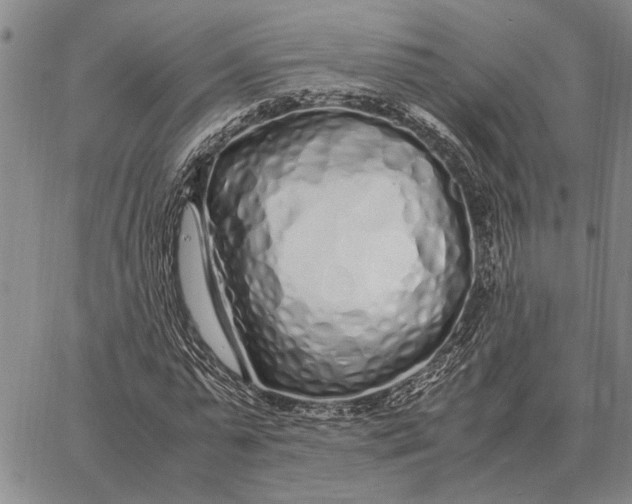 X0000062880775200602031741