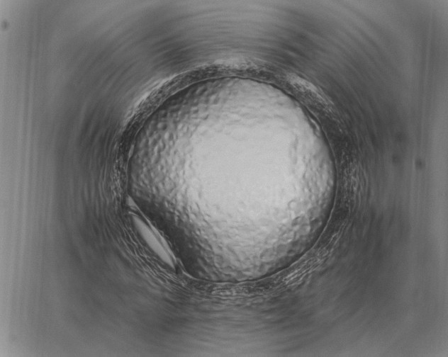 X0000062880776200602031741