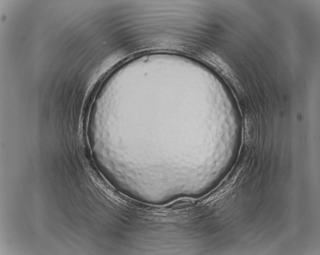 X0000062880780200602031741