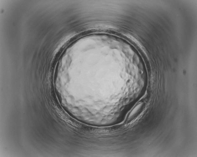 X0000062880783200602031740