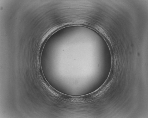 X0000062880789200602031740