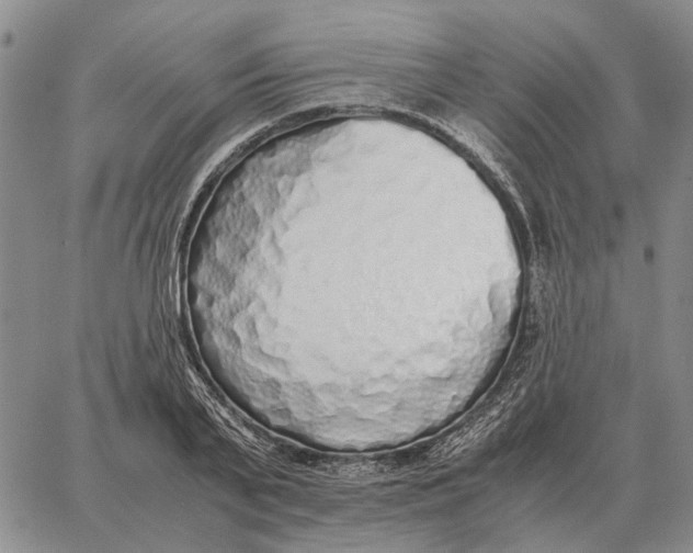 X0000062880791200602031740