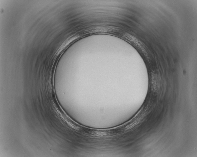 X0000062880794200602031740