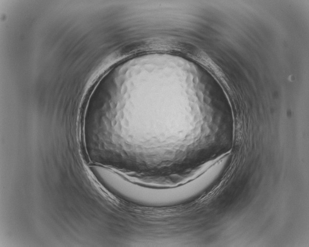 X0000062880795200602031740