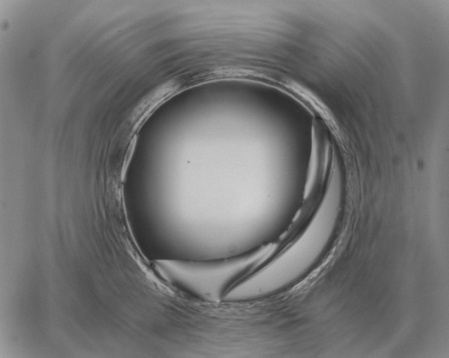 X0000062880809200602031740
