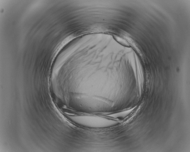 X0000062880810200602031740