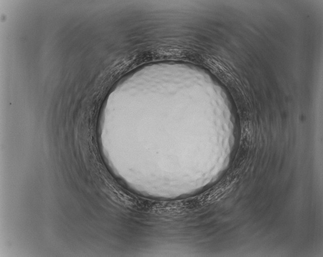 X0000062880817200602031739