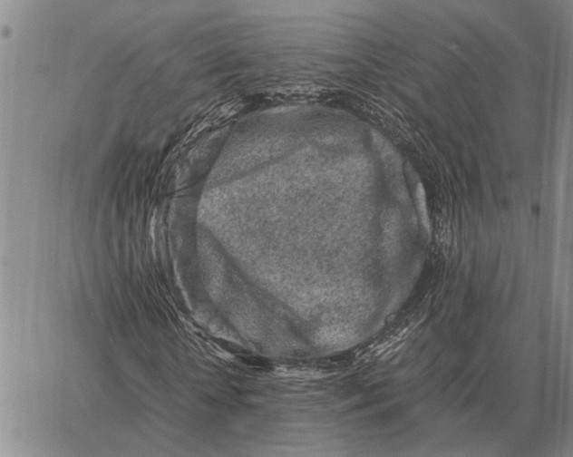 X0000062880818200602031739