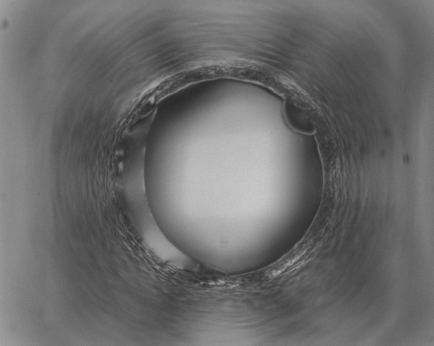 X0000062880822200602031739