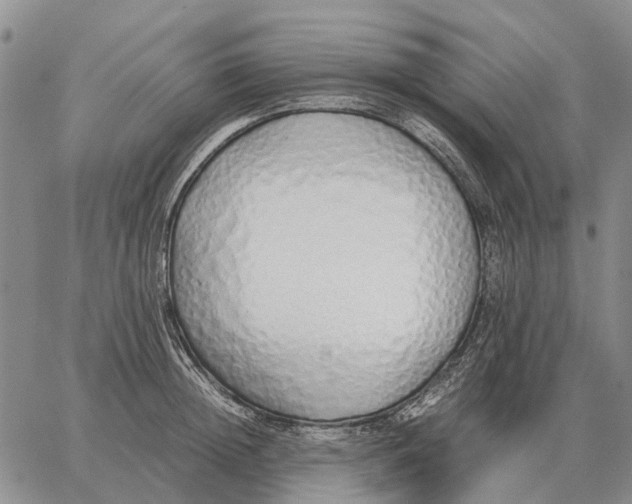 X0000062880852200602031740