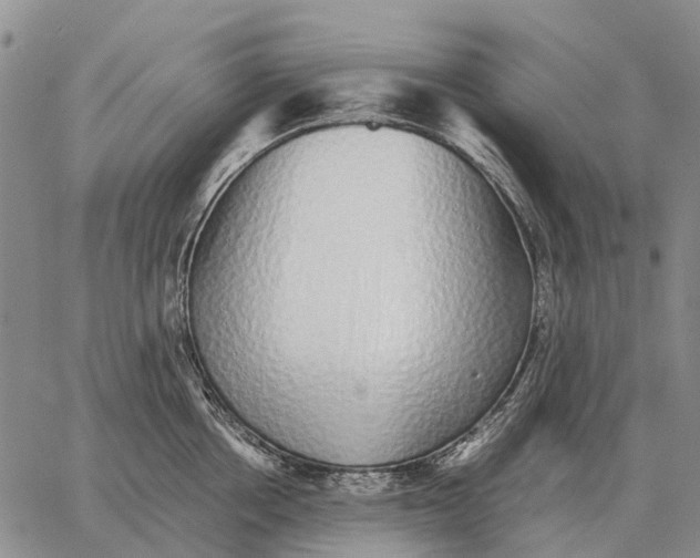 X0000062880858200602031740