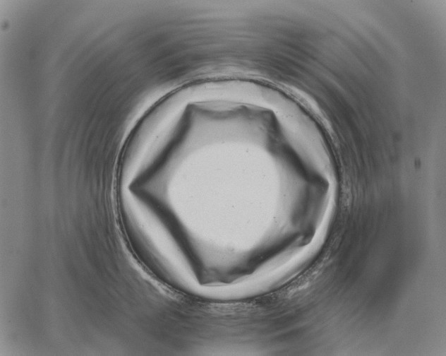 X0000062880863200602031740