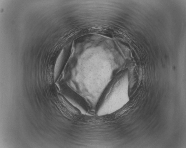 X0000062880868200602031739