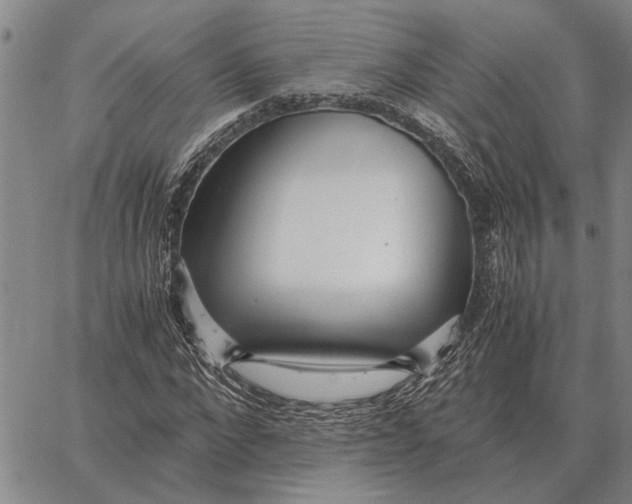 X0000062880872200602031739