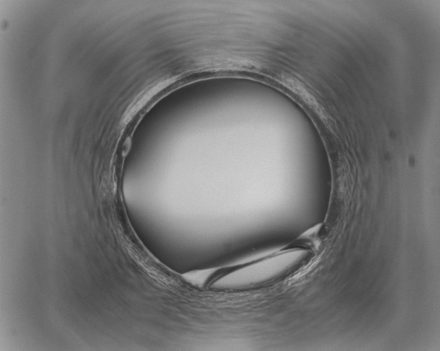 X0000062880885200602031739