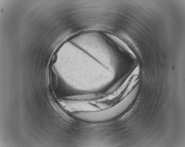 X0000062880892200602031739