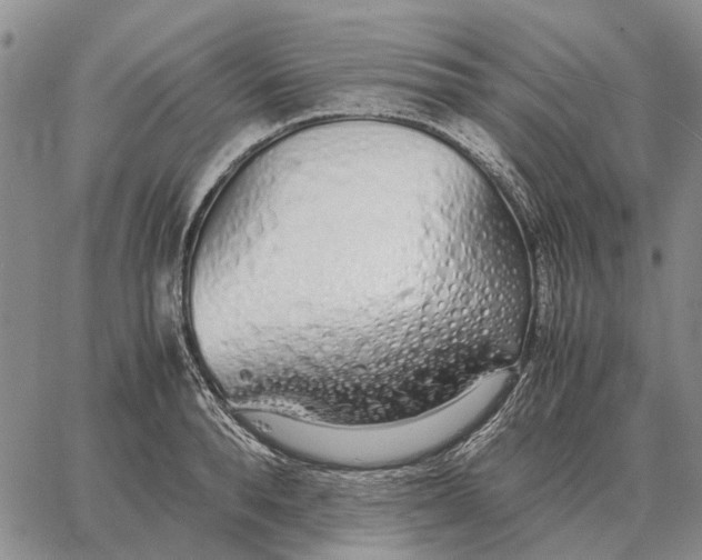 X0000062880896200602031739