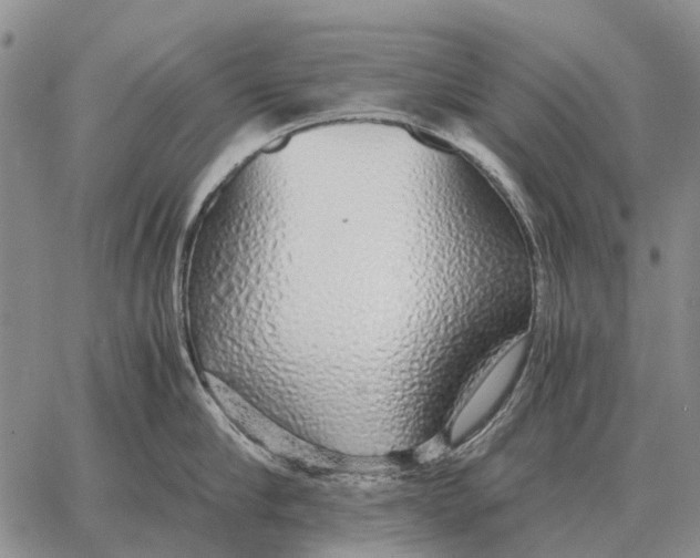 X0000062880910200602031738
