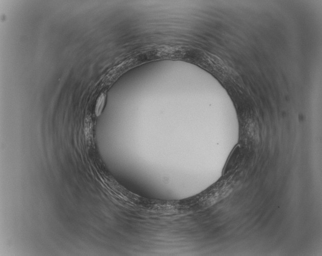 X0000062880914200602031738