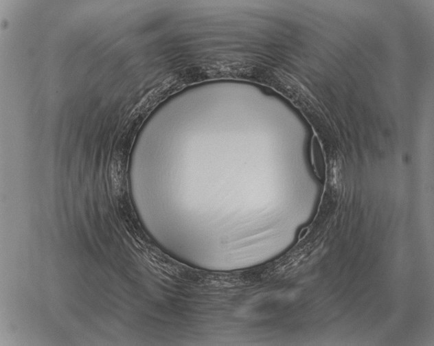 X0000062880915200602031738