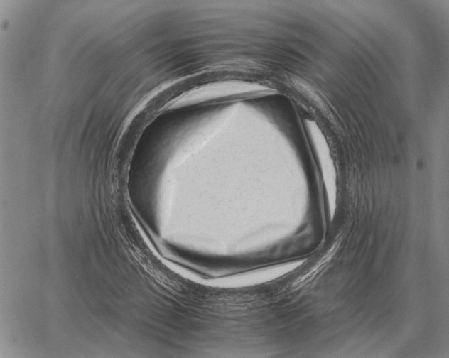X0000062880923200602031738